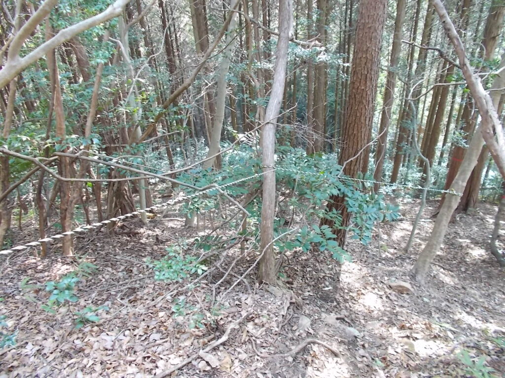 10:02 ロープ場が続きます。