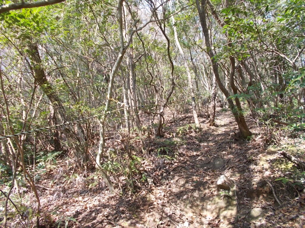 10:02 さらにロープ