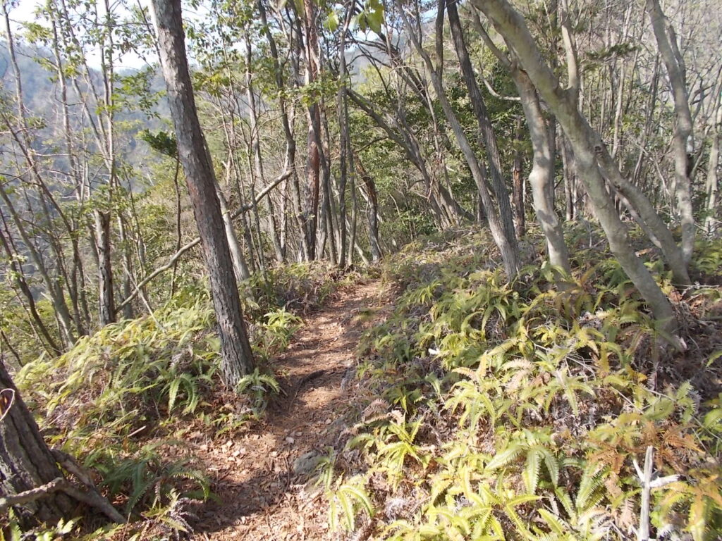 10:07 少し明るくなりました。