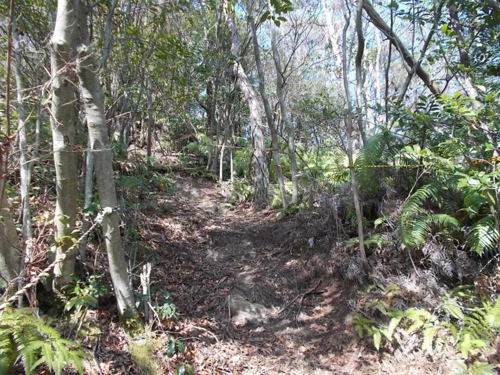 10:10 まだまだ急な登り坂は続きます。