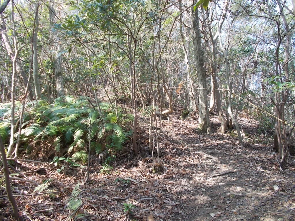 10:25 まだまだ上ります。