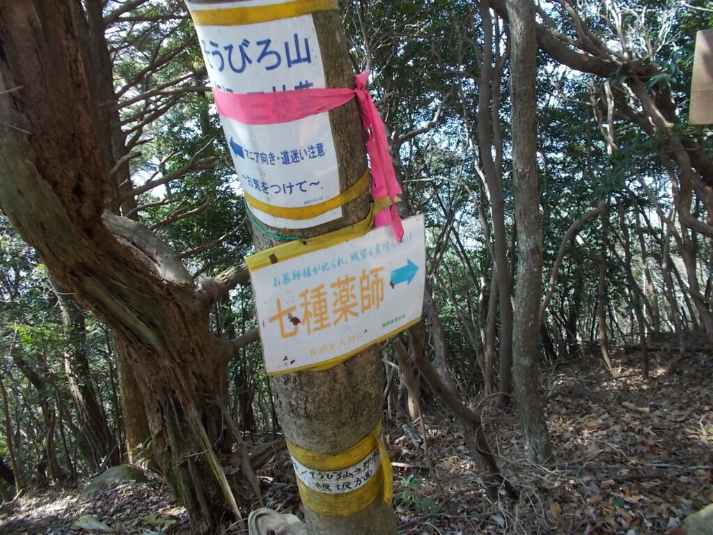 10:35 そうびろ山分岐