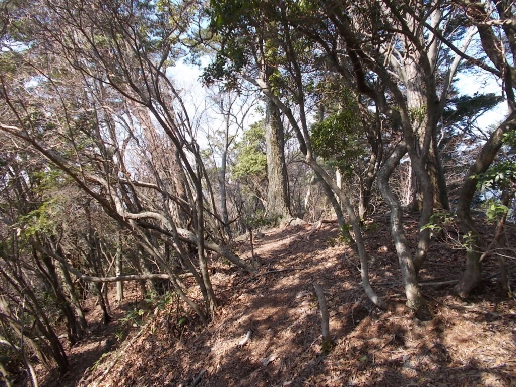 10:45 次のピーク?