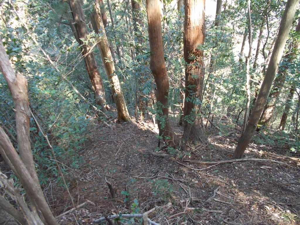 11:16 またまた急下り