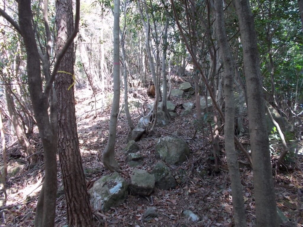 11:22 岩が増えてきました。