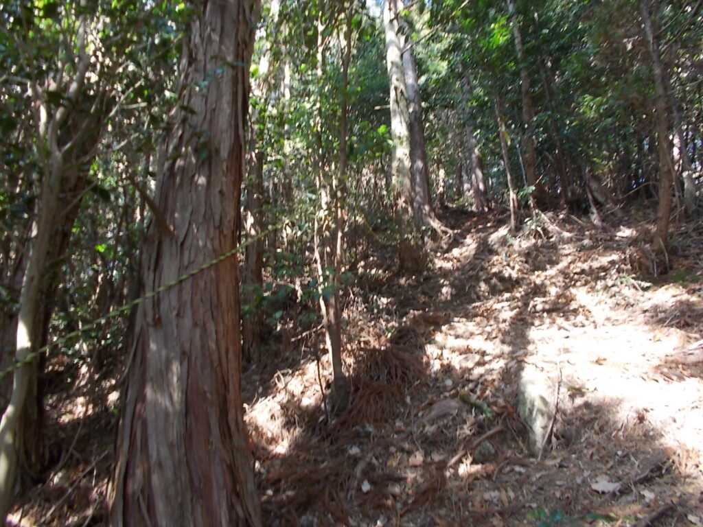 11:41 ま〜た、急な上りです。