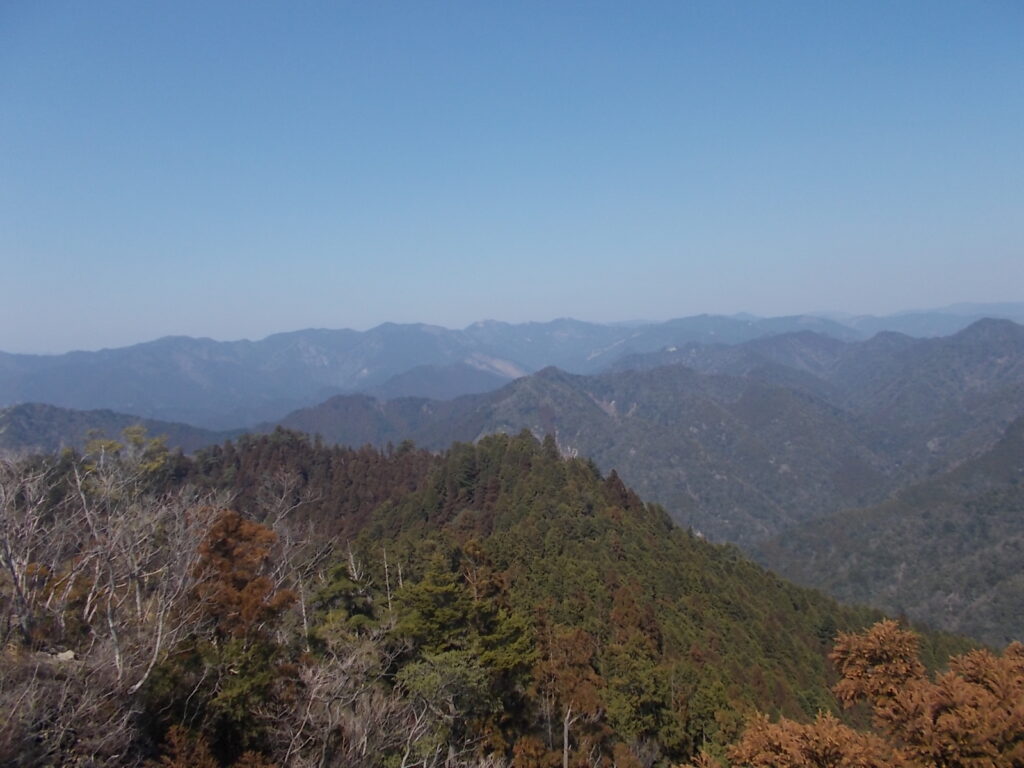 12:25 きれいに見えますね。