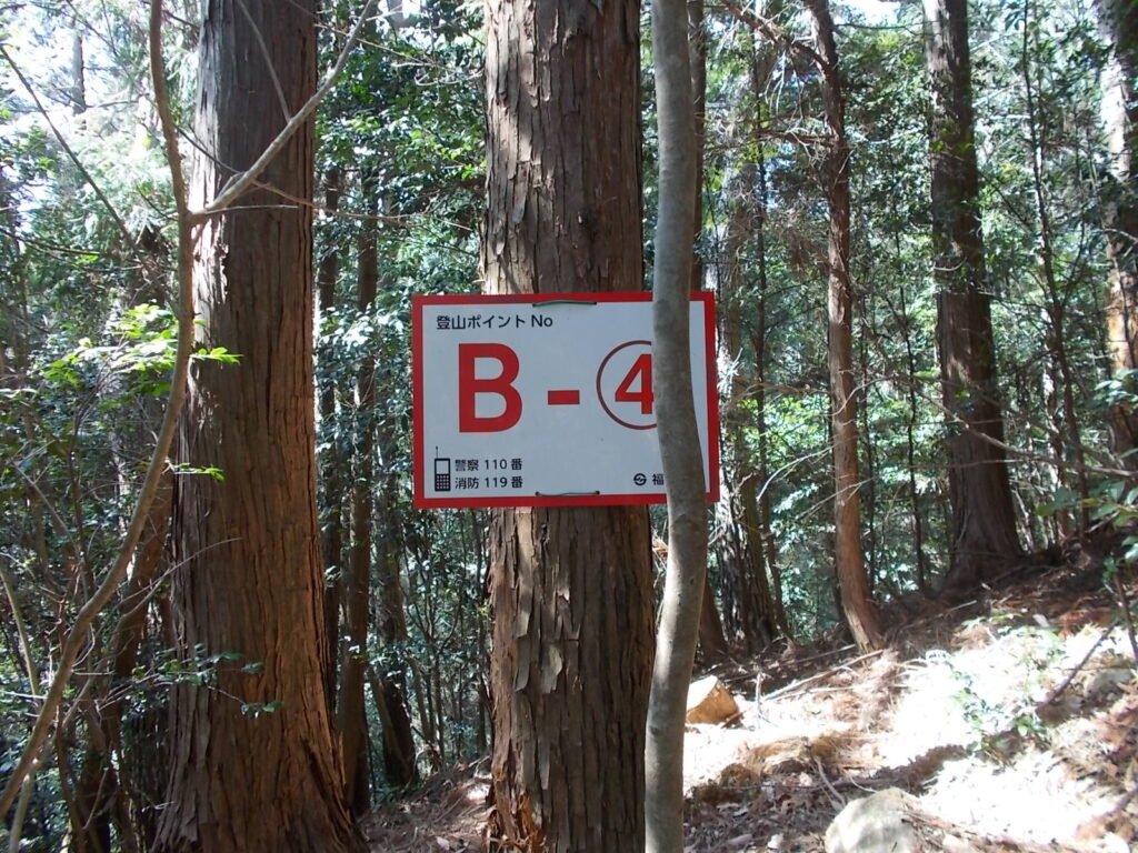 12:49 またコース名が変わり、B-4地点