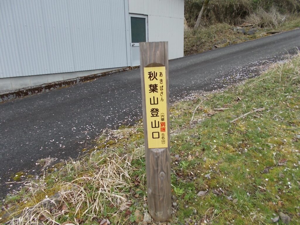10：34　登山口の標柱。後ろの斜面を上っていきます。