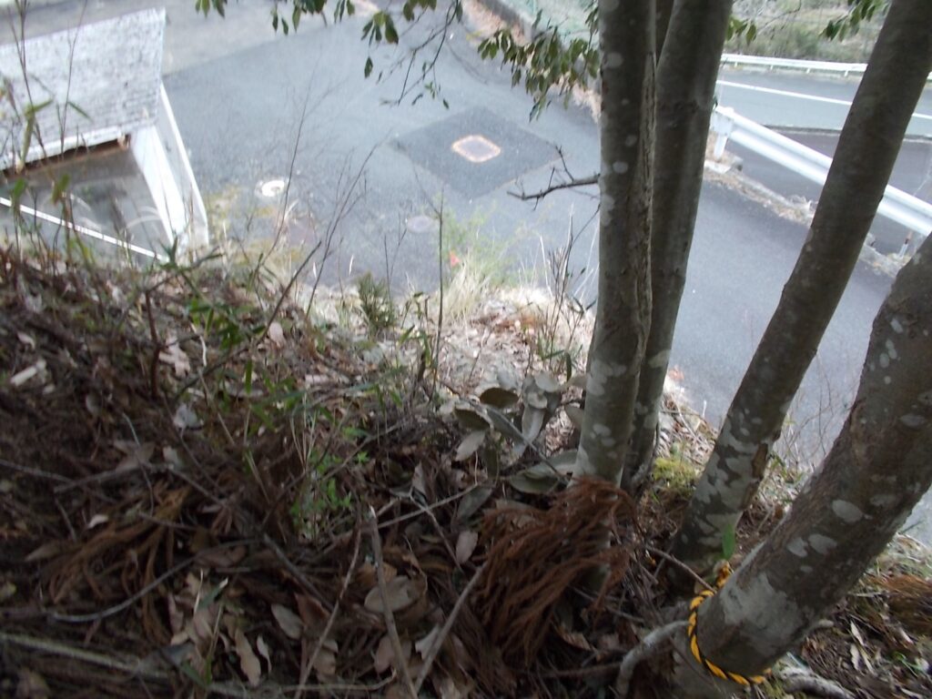 10：37　こちらが正しい登り口のようです。