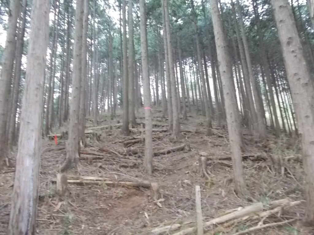 10：37　けっこう急な上りです。