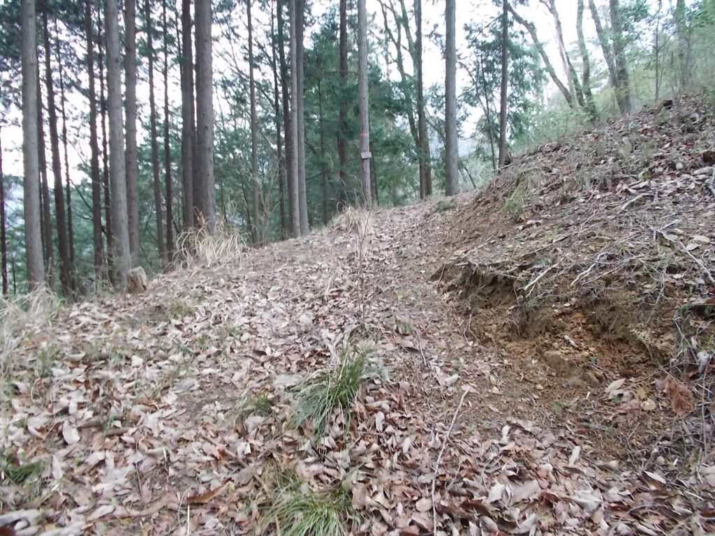 10：37　すぐに歩きやすい道に。