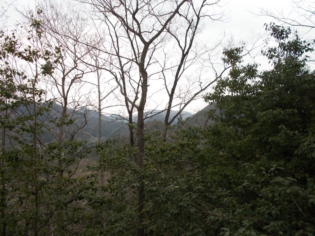 10：40　ここから見える景色。木が繁っちゃって、あまりよく見えません。