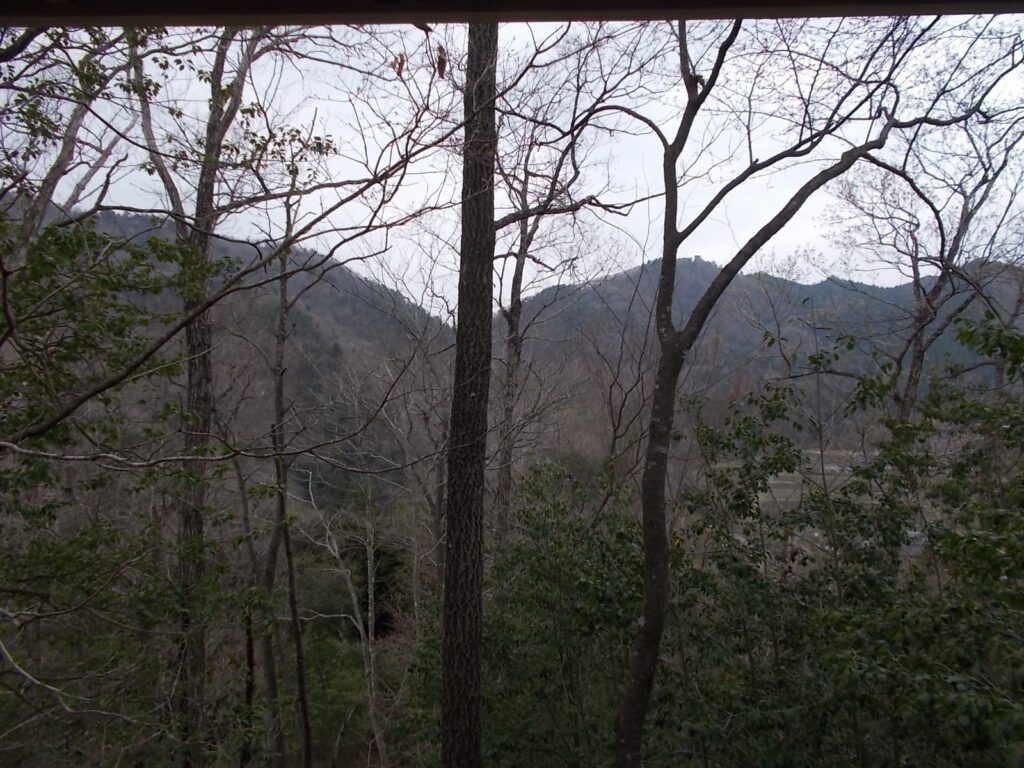 10：40　こちら方面も。