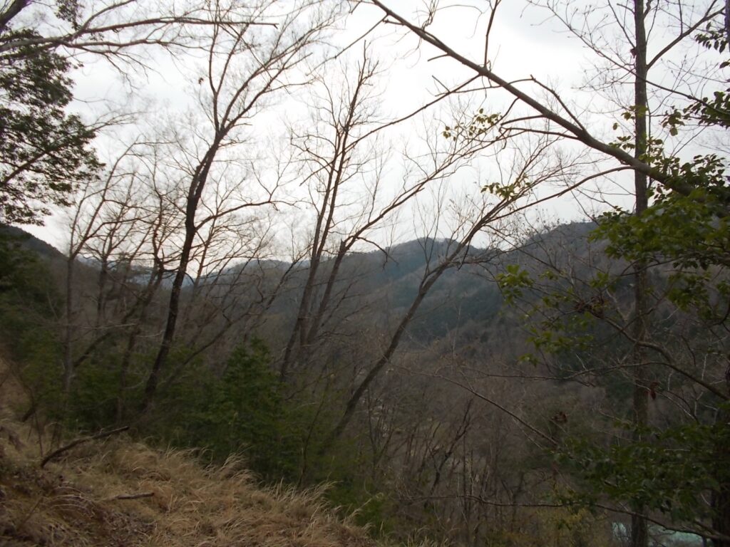 10：41　あまり見るべきものはありませんね。