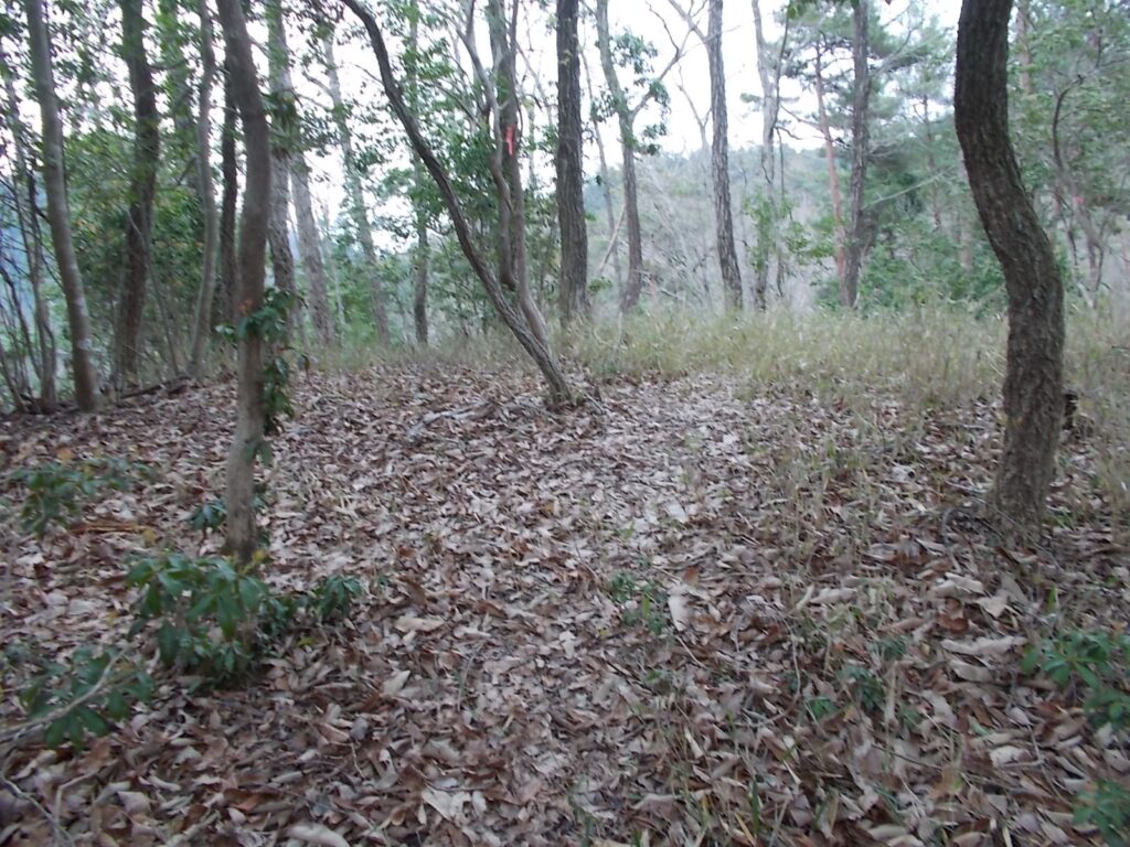 10：42　最初のピーク