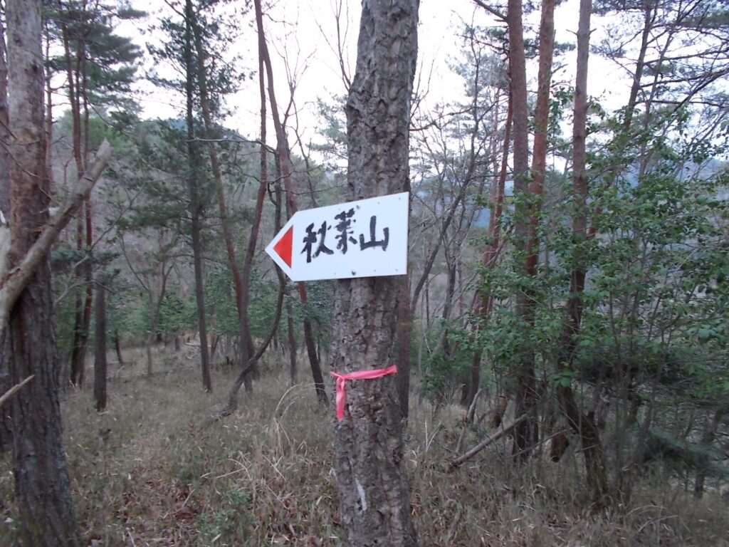 10：42　とにかく案内はしっかりしてます。