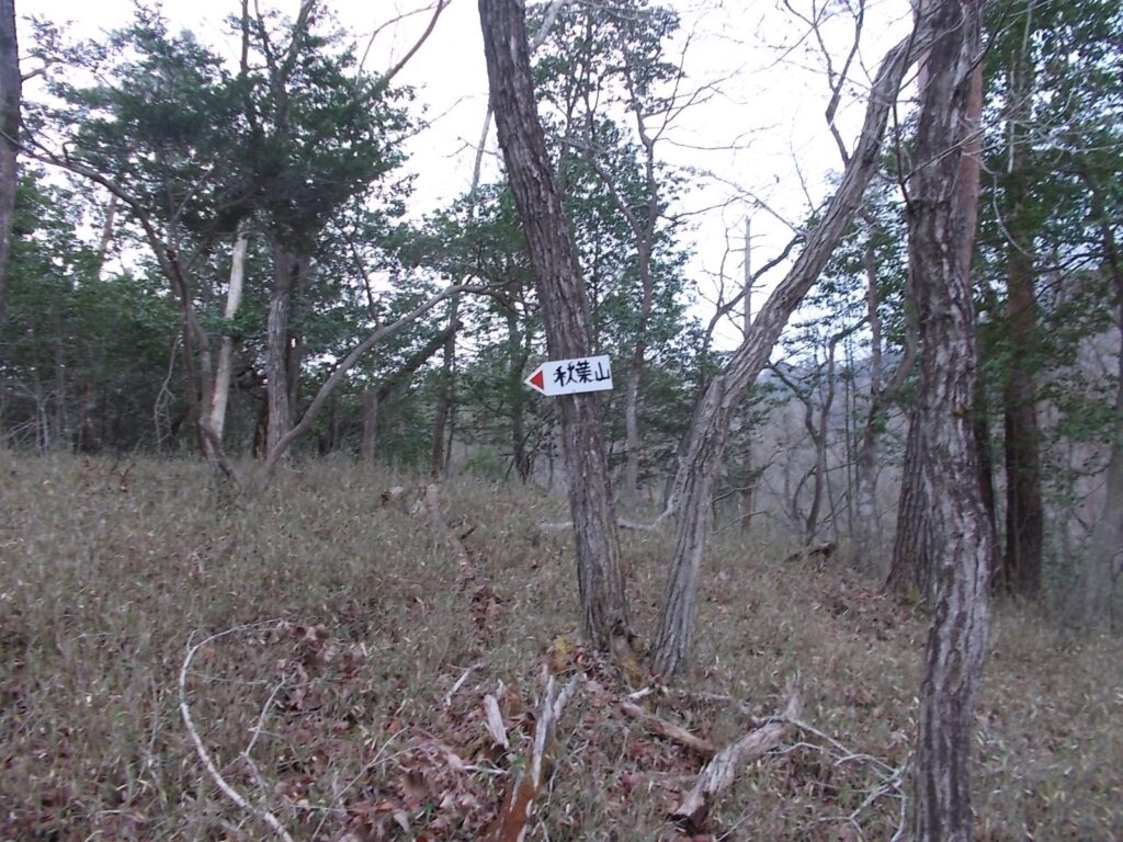 10：45　ここから池を離れます。帰りのルートではこのすぐ近くまで来てたようです。