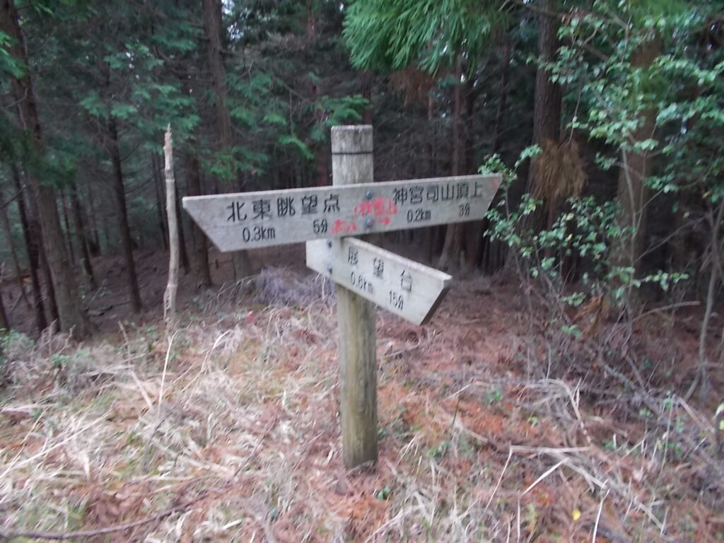 10：56　山頂手前分岐