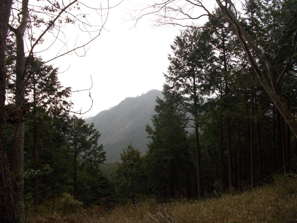 11：00　山頂からの景色