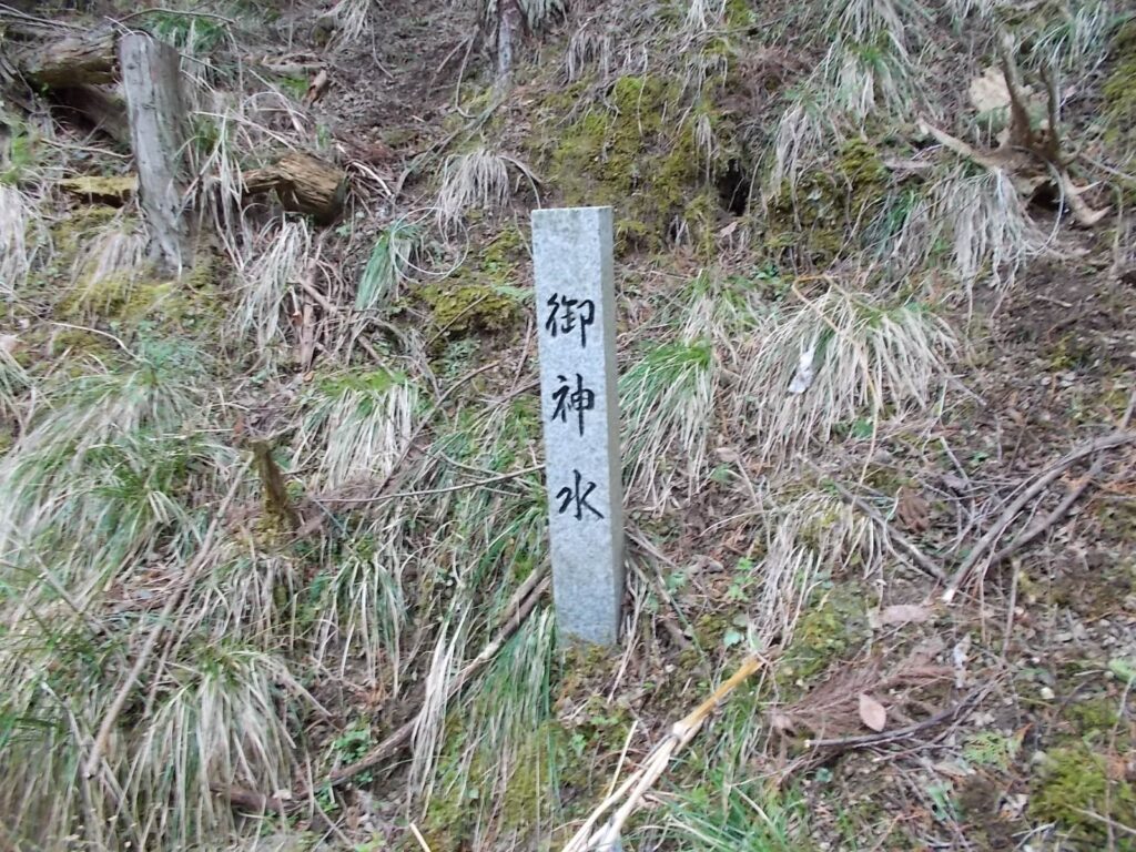 11：10　ピンクのテープを追うと、こちらに着きました。