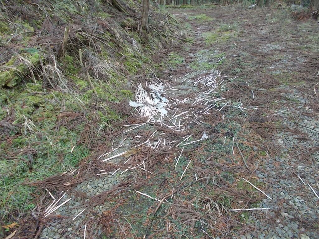 11：17　この辺りに散乱している白い棒。プラスチックの箸のようです。