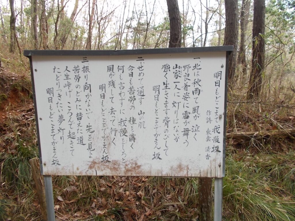 11：21　またまた看板。どうもこの向こうに池があったようです。ピンクのテープに従って林道を行きます。