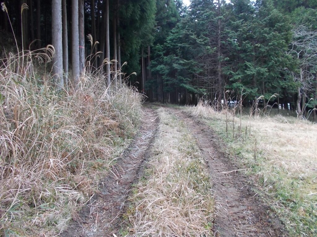 11：33　下りきると林道に出ました。
