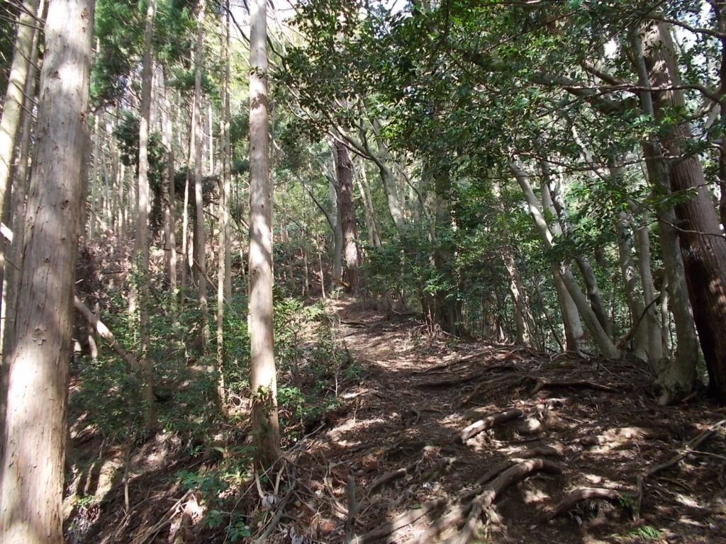 9：00　尾根筋へ