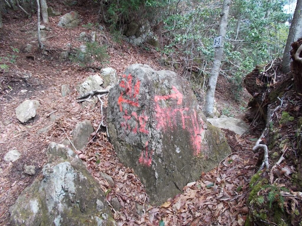 10：04　分岐。三角点は左へ。