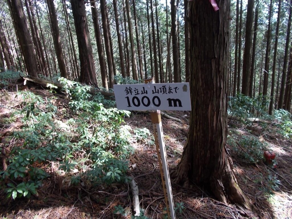 10：23　鉾立山まで1000m。って、まだ、三角点手前だって言うの。