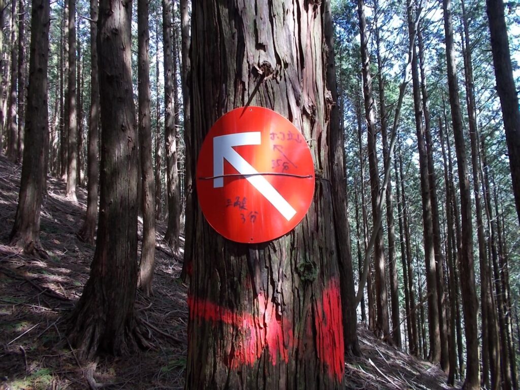 10：23　三角点まで3分。しかし、この角度を上れってか。