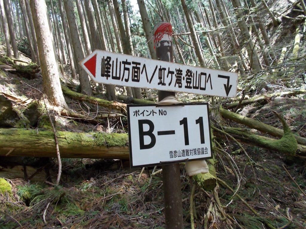 11：33　さらに下ると、B-11。  あってるようです。