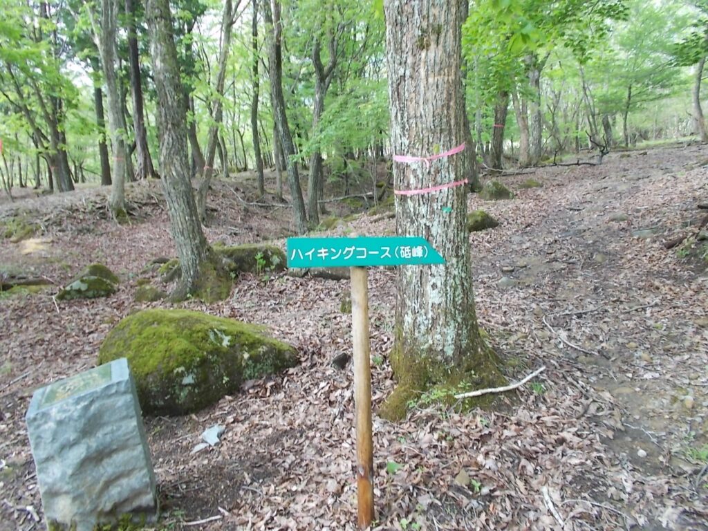 8：33　しばらく進んだが、林道へ出られそうにないので少し戻って、ここから右へ。