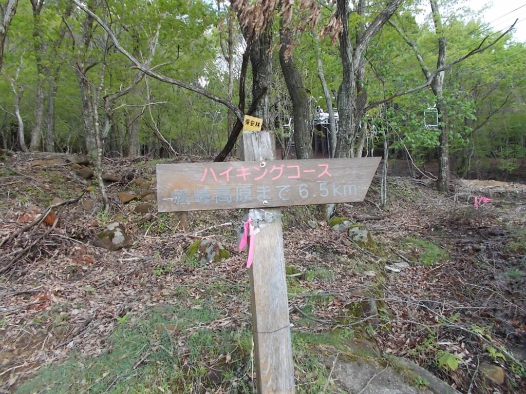 8：40　ハイキングコースを進みます。