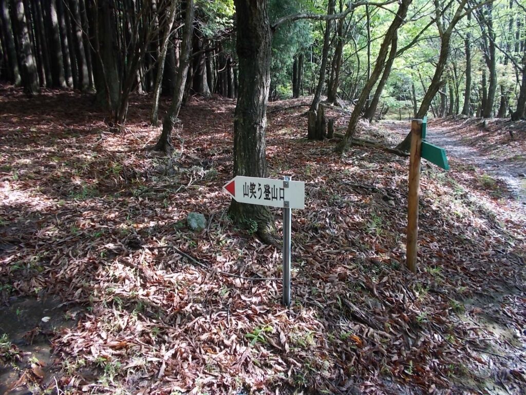 8：48　山笑う登山口への案内