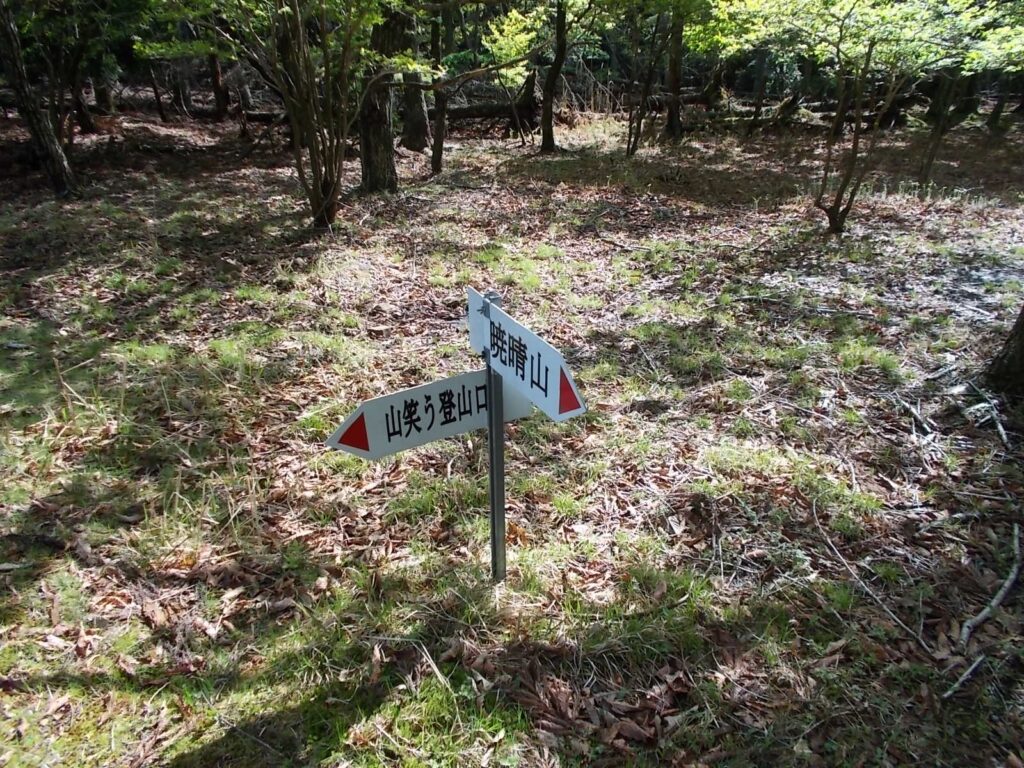 8：53　山笑う登山口分岐