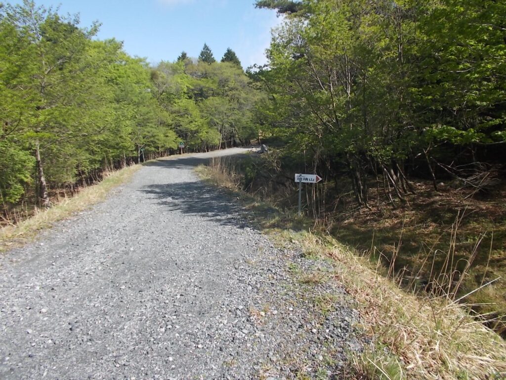 8：55　ようやく峰山林道に出ました。