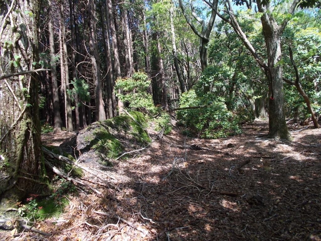 9：09　歩きやすい感じです。