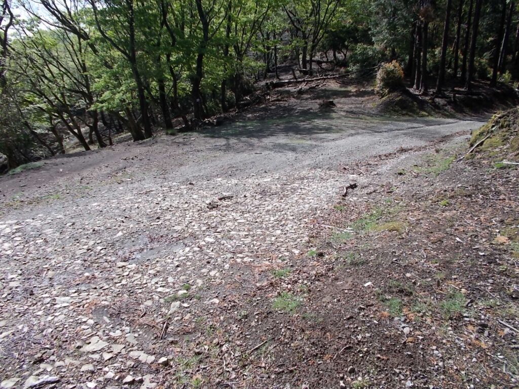 9：17　作業道を渡ります。この作業道を歩けば熊ノ原に行けます。