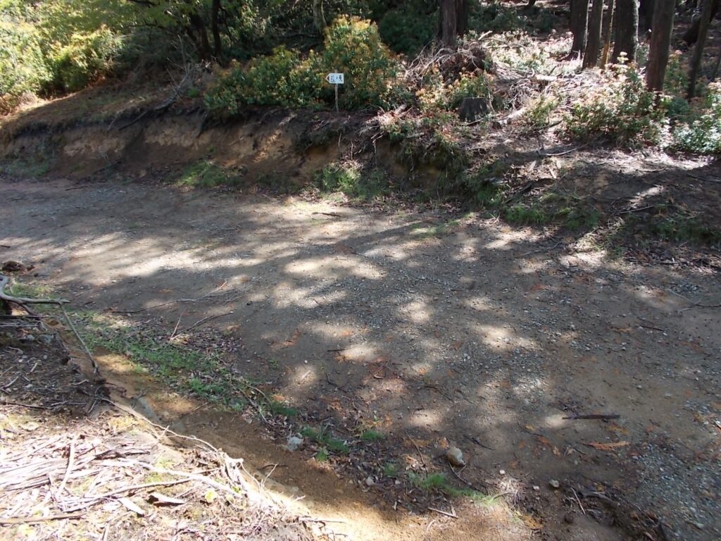 9：39　途中で渡った作業道を歩きます。