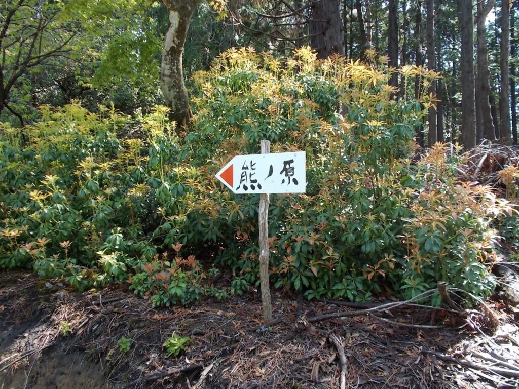 9：39　作業道の反対側にある案内板。