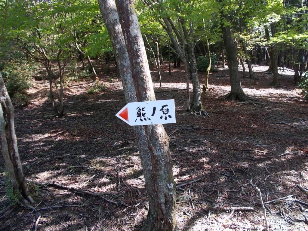 9：41　木に打ち付けられた案内板。