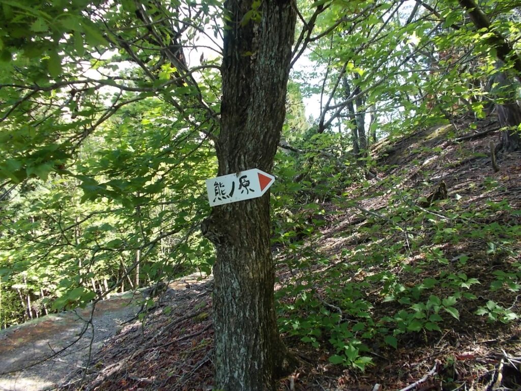 9：43　ここから斜面を登ります。