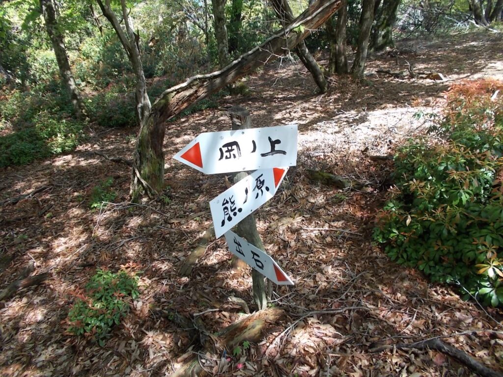 10：07　出石山裏の分岐に戻りました。