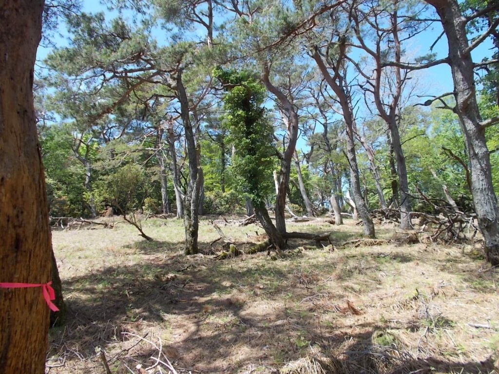 10：30　明るい広場