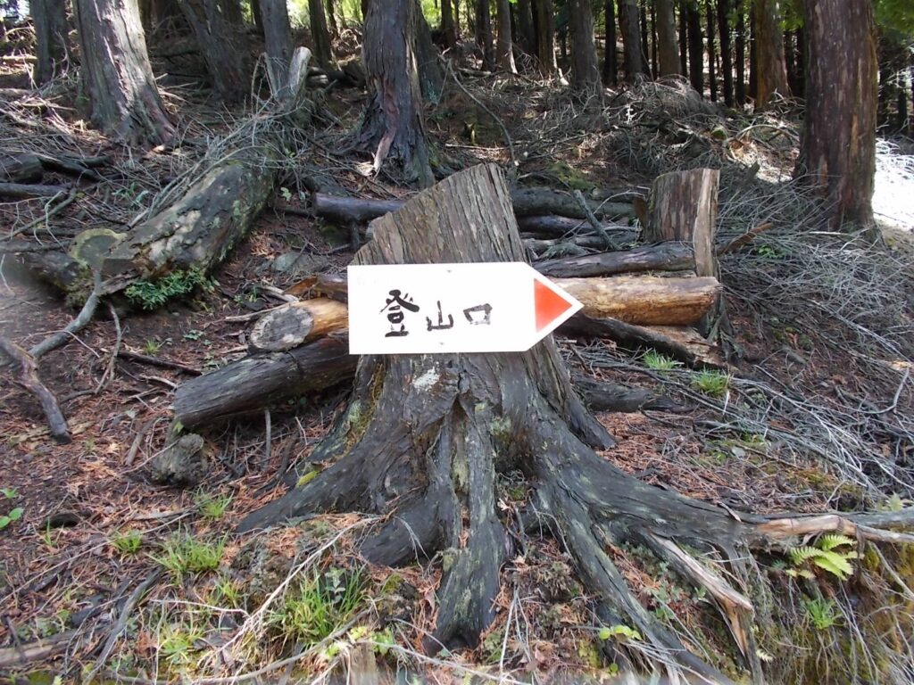 10：48　林道まで戻って、林道を歩きます。