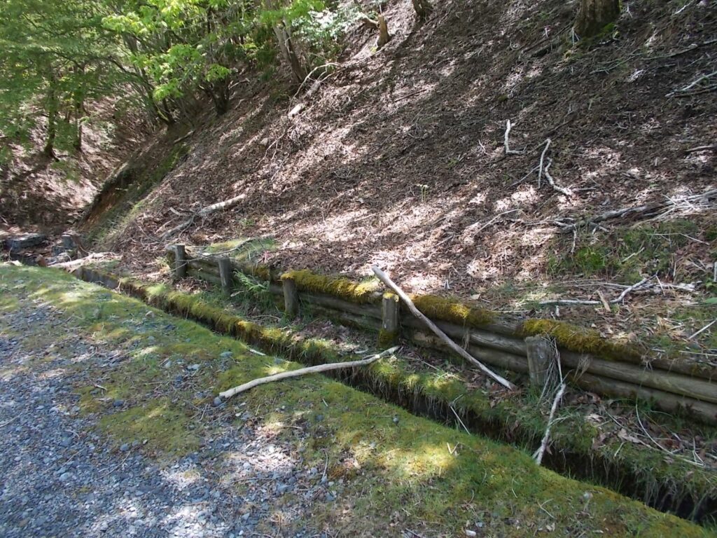 11：17　峰山林道に出て、向かいの斜面から上っていきます。