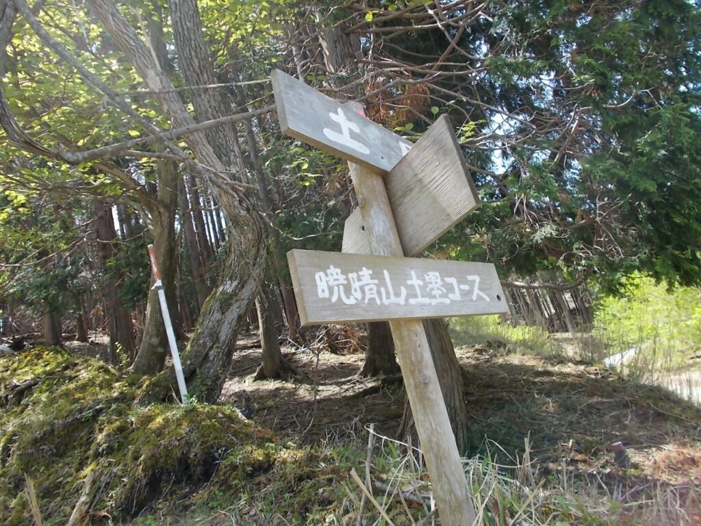 11：18　暁晴山土塁コースに沿って上っていきます。