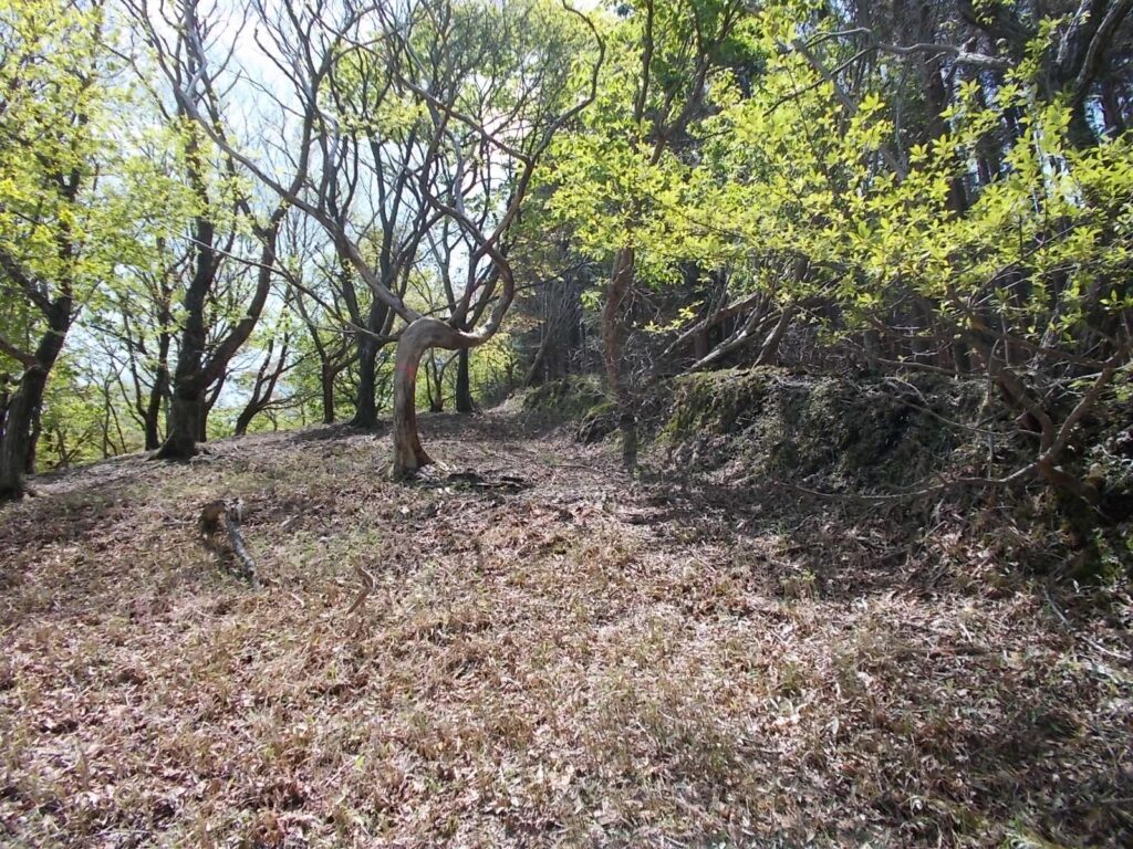 11：18　右側が土塁です。